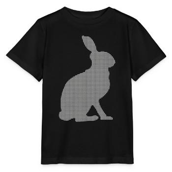 Lièvre - T-shirt bio MINI CREATOR Stanley/Stella Enfant - noir - Devant - Mikhail (115cm)