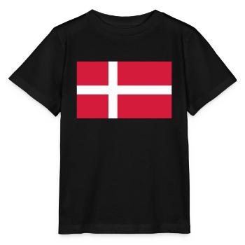 Dänemark - Stanley/Stella Kinder T-Shirt MINI CREATOR  - Schwarz - Vorne - Mikhail (115cm)