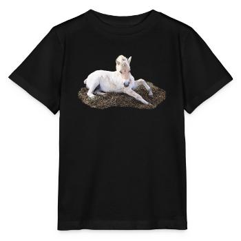 Schlafendes fohlen auf Heu - Stanley/Stella Kinder T-Shirt MINI CREATOR  - Schwarz - Vorne - Mikhail (115cm)