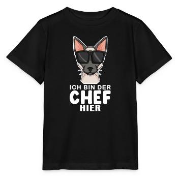 coole Katze - Siamkatze Spruch - Stanley/Stella Kinder T-Shirt MINI CREATOR  - Schwarz - Vorne - Mikhail (115cm)