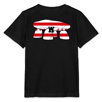 Drenthe Dolmen - T-shirt bio MINI CREATOR Stanley/Stella Enfant - noir - Devant - Mikhail (115cm)