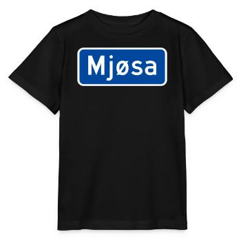 Der Mjøsa-See - Stanley/Stella Kinder T-Shirt MINI CREATOR  - Schwarz - Vorne - Mikhail (115cm)