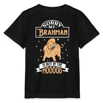 Not in the mood - Brahman - Stanley/Stella MINI CREATOR Kids’ T-Shirt - black - Front - Mikhail (115cm)