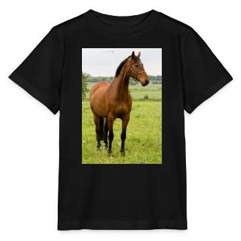 Cheval. Cheval. - T-shirt bio MINI CREATOR Stanley/Stella Enfant - noir - Devant - Mikhail (115cm)