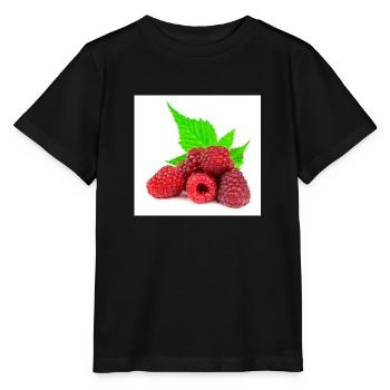 Framboise. Framboise - T-shirt bio MINI CREATOR Stanley/Stella Enfant - noir - Devant - Mikhail (115cm)