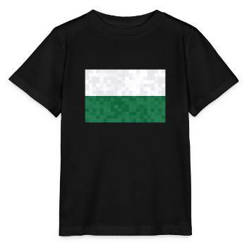 Drapeau de Saxe Drapeau saxon Ossi Holiday SN - T-shirt bio MINI CREATOR Stanley/Stella Enfant - noir - Devant - Mikhail (115cm)