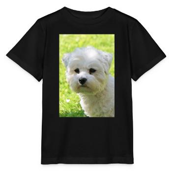 Malteser - Stanley/Stella Kinder T-Shirt MINI CREATOR  - Schwarz - Vorne - Mikhail (115cm)