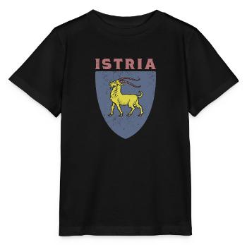 Istria flag Hrvatska Balkan Croatia trip Urla - Stanley/Stella MINI CREATOR Kids’ T-Shirt - black - Front - Mikhail (115cm)