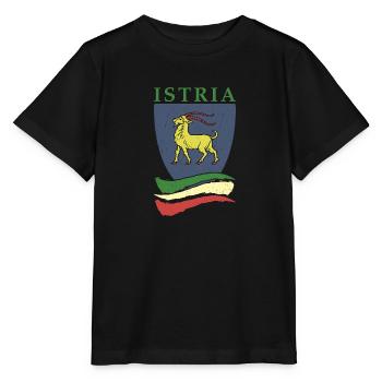 Istria Tourist Hrvatska Croatia Holidays Balkan Re - Stanley/Stella MINI CREATOR Kids’ T-Shirt - black - Front - Mikhail (115cm)