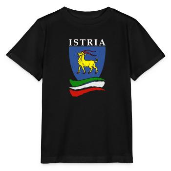 Istria Tourist Hrvatska Croatia Holidays Balkan Re - Stanley/Stella MINI CREATOR Kids’ T-Shirt - black - Front - Mikhail (115cm)