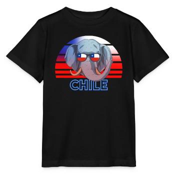 Chile - Stanley/Stella Kinder T-Shirt MINI CREATOR  - Schwarz - Vorne - Mikhail (115cm)