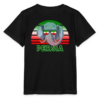 Perse - T-shirt bio MINI CREATOR Stanley/Stella Enfant - noir - Devant - Mikhail (115cm)