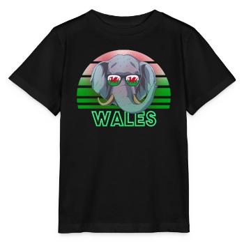 Pays de Galles - T-shirt bio MINI CREATOR Stanley/Stella Enfant - noir - Devant - Mikhail (115cm)
