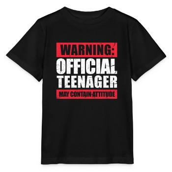 Cadeau d'anniversaire 13 ans 13 ans Bday - T-shirt bio MINI CREATOR Stanley/Stella Enfant - noir - Devant - Mikhail (115cm)
