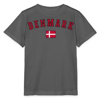 Flagge von Dänemark, dänischer Stolz - Stanley/Stella Kinder T-Shirt MINI CREATOR  - Anthrazit - Vorne - Kain (125cm)