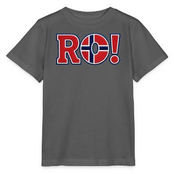 RO! Norway Embroidered Supporter Design - Stanley/Stella MINI CREATOR Kids’ T-Shirt - anthracite - Front - Kain (125cm)