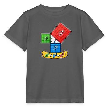 Satz des Pythagoras – Mathe einfach erklärt - Stanley/Stella Kinder T-Shirt MINI CREATOR  - Anthrazit - Vorne - Kain (125cm)