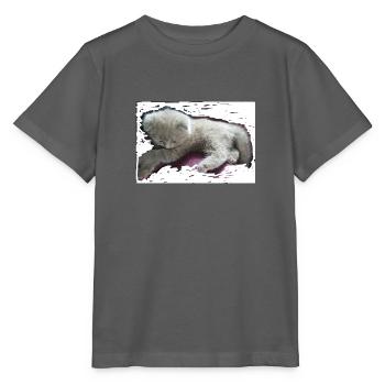 chat - T-shirt bio MINI CREATOR Stanley/Stella Enfant - charbon - Devant - Kain (125cm)