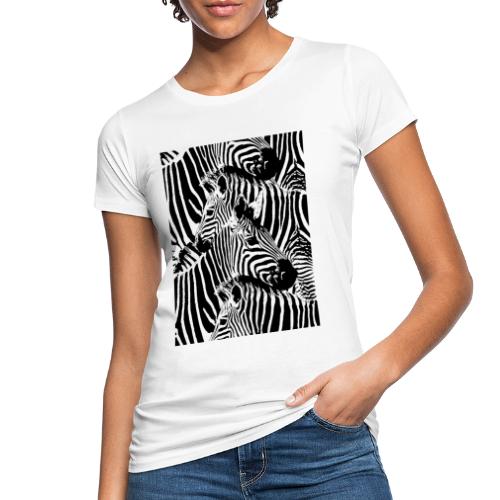 Zebras - Camiseta ecológica mujer