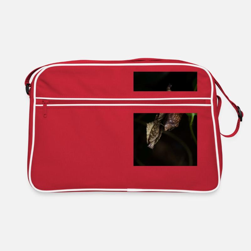 Brancsikia freyi guarding its ooth - Mantis Retro Tasche