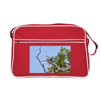 000_1522_NikDxO_cuckoo - Sac Retro - rouge/blanc - Devant