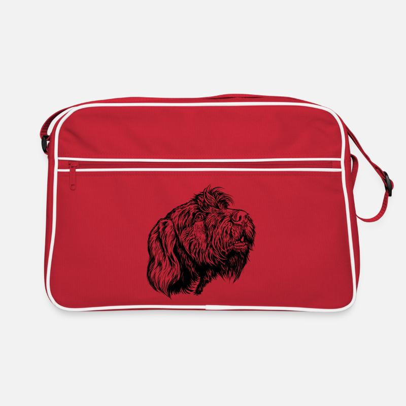 Pudelpointer redet mit Retro Tasche