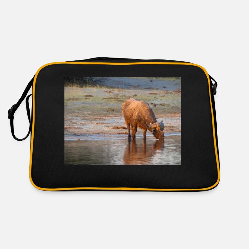 Paysage à la rivière Cubango avec le buffle du Cap Sac Retro