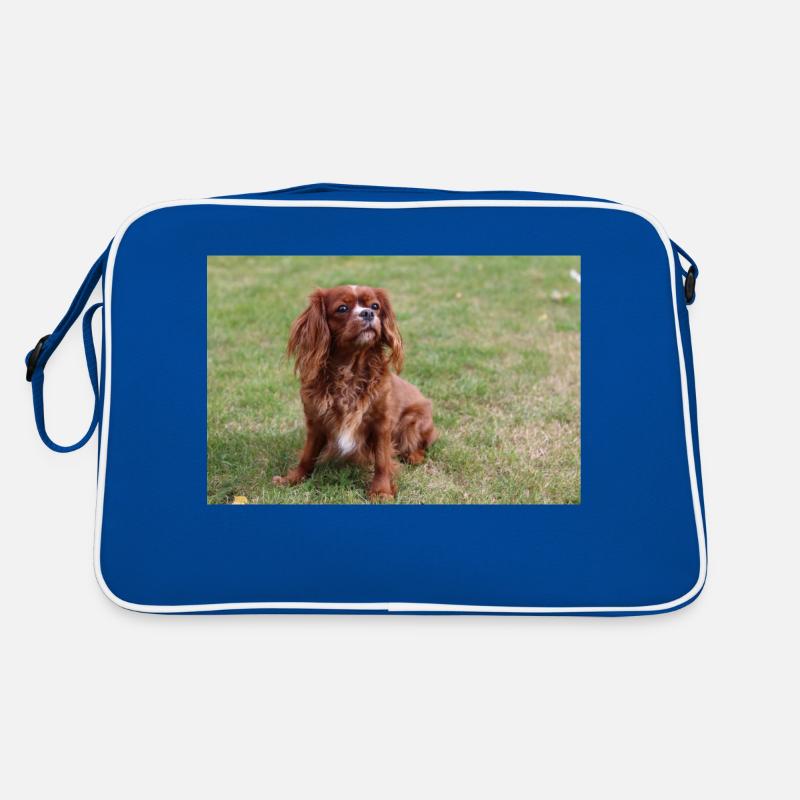cavalier king charles spaniel sitting Retro Bag