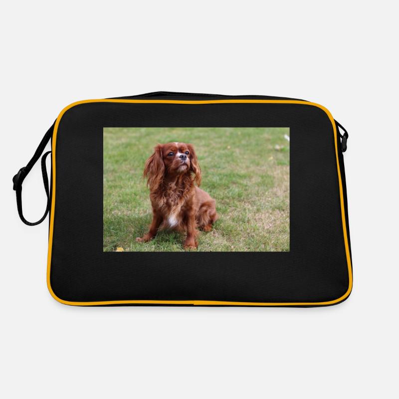 Cavalier King Charles Spaniel assis Sac Retro
