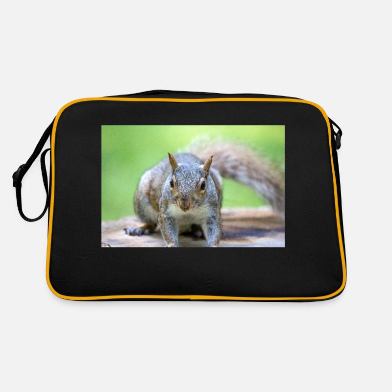 Écureuil gris Grauhörnchen Sciurus carolinensis Sac Retro