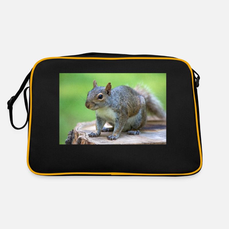 Écureuil gris Grauhörnchen Sciurus carolinensis Sac Retro