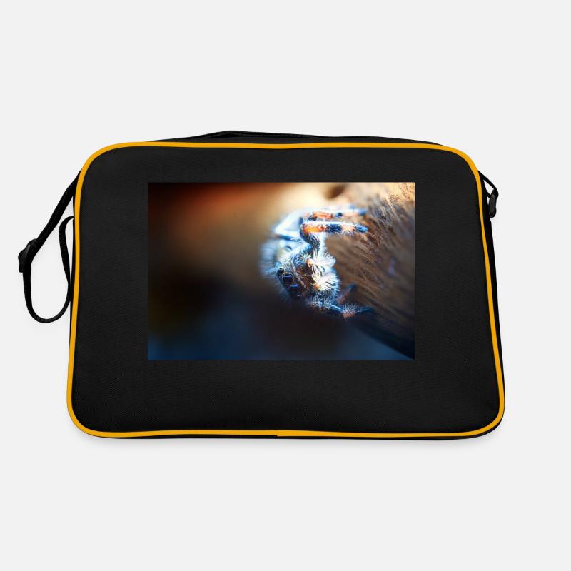 Araignée sauteuse, Phidippus regius, araignée sauteuse Sac Retro