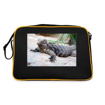 Cuban rock iguana also Cuban ground iguana - Retro Bag - black/gold - Back