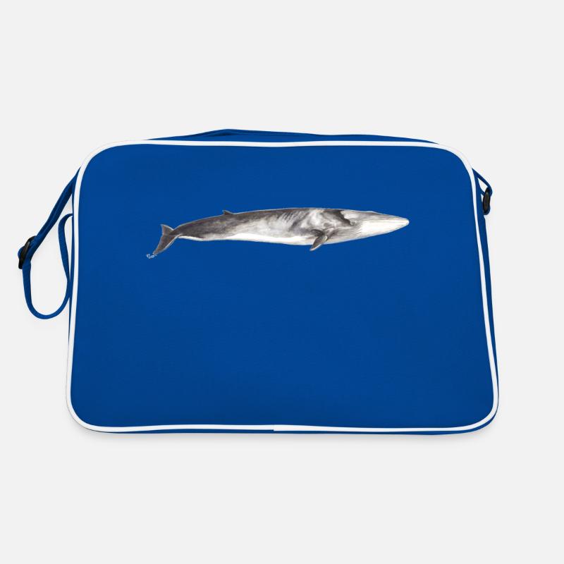 Rorqual commun Balaenoptera physalus Sac Retro