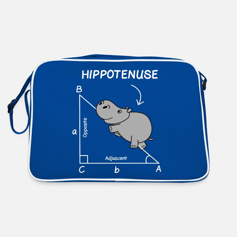 Professeur de mathématiques élève ingénieur école Sac Retro