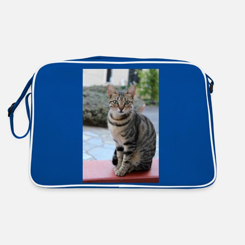 chat, chaton Sac Retro