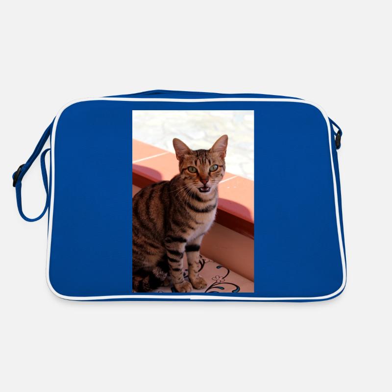 chat, chaton Sac Retro