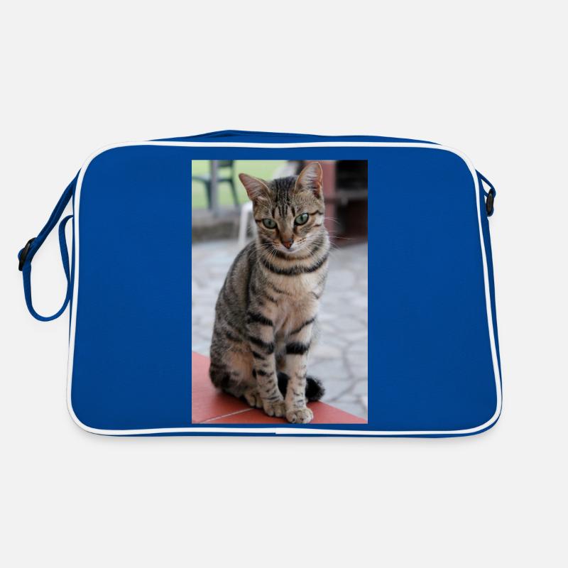 chat, chaton Sac Retro