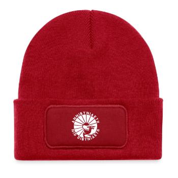 Annibyniaeth Nid Dibyniaeth - Kids' Recycled Patch Beanie - classic red - Front