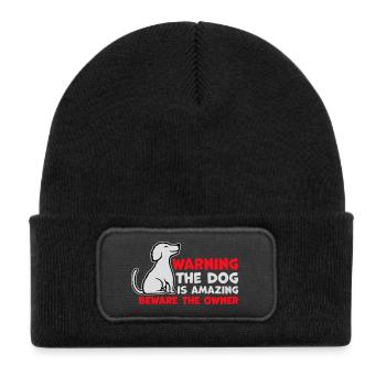 Warning Dog Is Amazing Beware Owner Hunde Haustier - Kids' Recycled Patch Beanie - black - Front