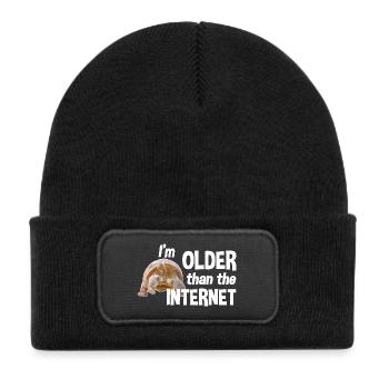 I'm older than the Internet - Turtle - Kids' Recycled Patch Beanie - black - Front