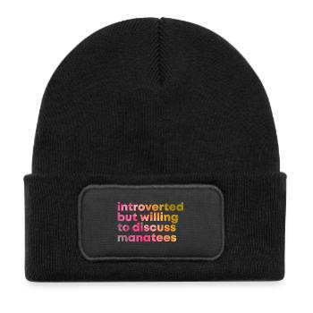 Manatee Manatee Manatee - Kids' Recycled Patch Beanie - black - Front