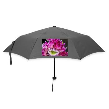 pink dahlia blossom pink flower poster - Umbrella (small) - grey - Front
