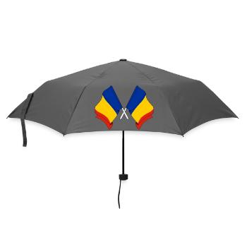 Zwei Flaggen Flagge Rumäniens, Flagge horizontal m - Regenschirm (klein) - Grau - Vorne