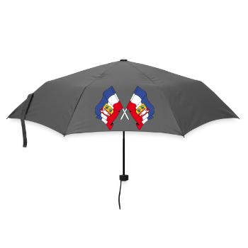 Two flags Schleswig Holstein - Umbrella (small) - grey - Front