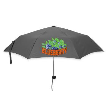 BLUEBERRY - Regenschirm (klein) - Grau - Vorne