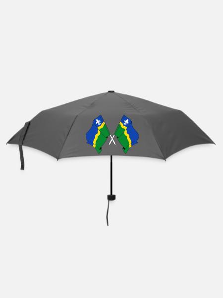 Zwei Flaggen der Provinz Flevoland - Regenschirm (klein) - Grau