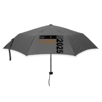 Kreisliga Meister Shirt Aufsteiger 2025 - Regenschirm (klein) - Grau - Vorne