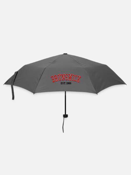 Braunschweig, gegründet 1966 - Regenschirm (klein) - Grau