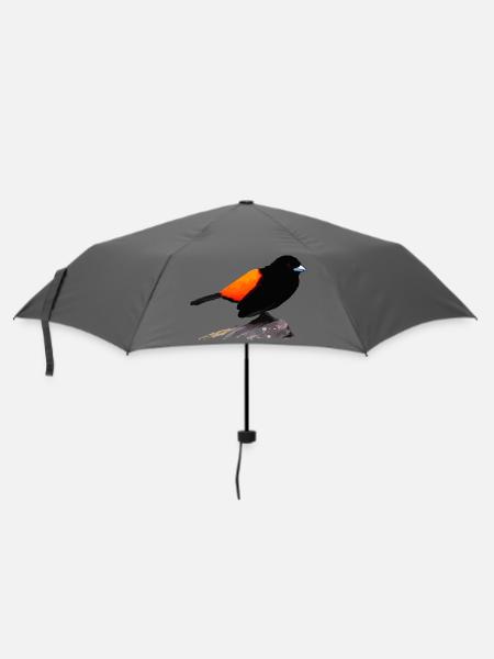 Schwarzes Raben-Orange-Gefieder - Regenschirm (klein) - Grau